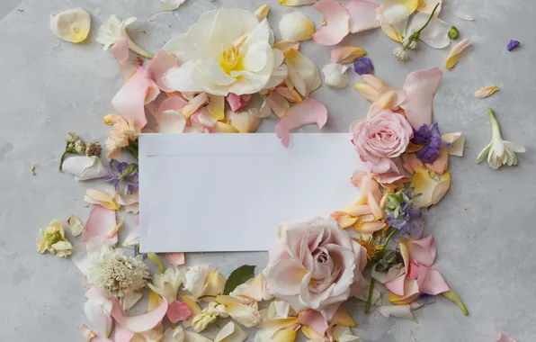 Цветы, бумага, flowers, карточка, Backgrounds