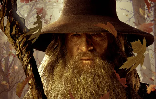 Картинка Властелин колец, посох, The Lord of the Rings, Gandalf, опавшие листья, Гэндальф, Хоббит Нежданное путешествие, …