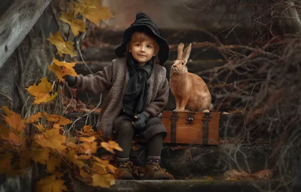 Картинка осень, листья, ветки, природа, животное, мальчик, кролик, лестница