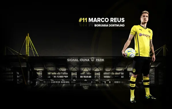 Wallpaper, sport, football, player, Borussia Dortmund, Marco Reus, Signal Iduna Park
