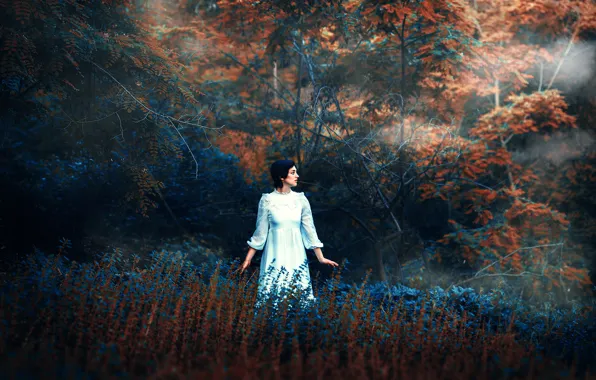Картинка осень, природа, платье, Ronny Garcia