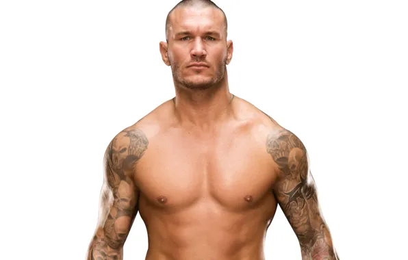 Картинка тату, змей, татуировка, muscle, рестлер, WWE, Randy Orton, Рэнди Ортон