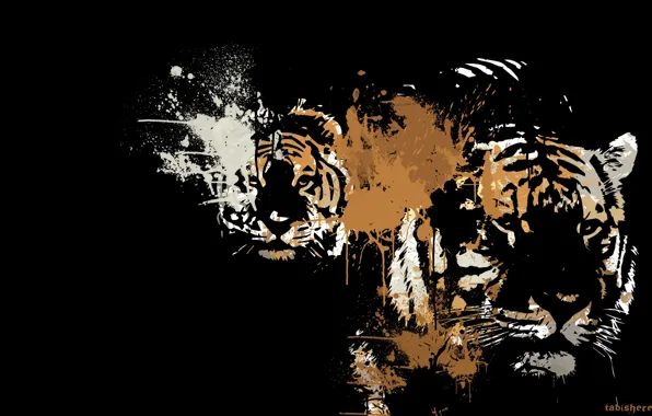 Картинка животные, хищники, арт, окрас, черный фон, тигры