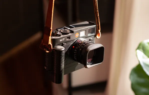 Фон, камера, Leica M
