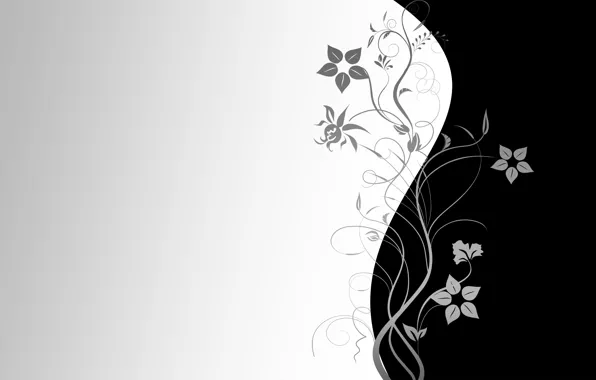 Картинка цветы, обои, узор, вектор, текстура, wallpaper, черный фон, серый фон