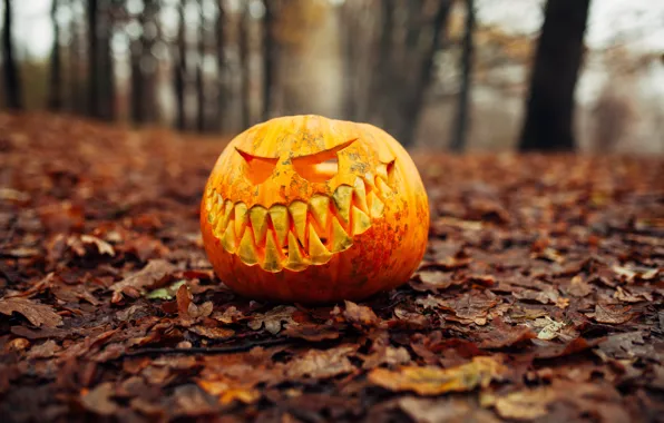 Картинка осень, листья, тыква, Хэллоуин, halloween, autumn, leaves, pumpkin