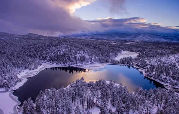Картинка зима, лес, небо, облака, деревья, озеро, панорама, Аризона