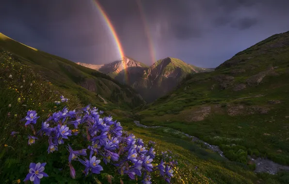 Пейзаж, цветы, горы, природа, ручей, радуга, долина, Колорадо
