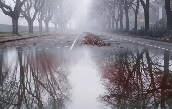 Город, туман, улица, лужа