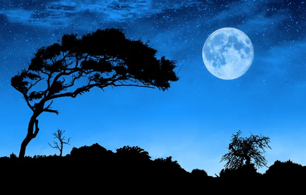Пейзаж, ночь, луна, силуэты