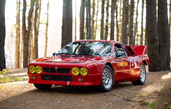 Front, Lancia, Rally, 1982, Lancia Rally 037 Stradale