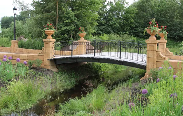 Картинка Природа, Трава, Весна, Парк, Nature, Grass, Bridge, Water