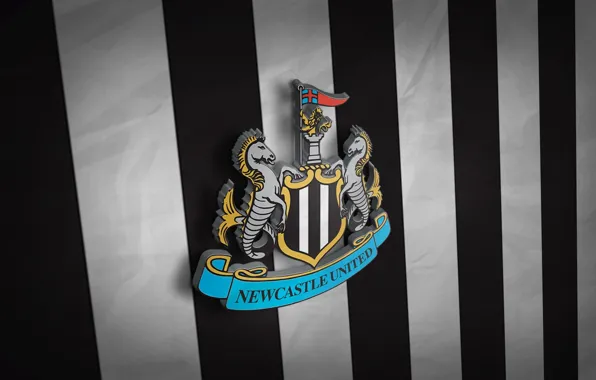 Картинка wallpaper, football, Premier League, England, Sport, Newcastle United, 3D logo