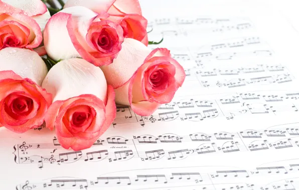 Картинка цветы, ноты, розы, розовые, бутоны