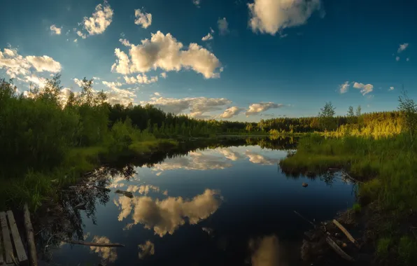 Лес, небо, облака, озеро, отражение, синева, берег, водоем