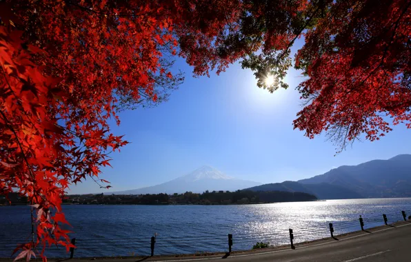 Картинка дорога, листья, ветки, река, гора, Япония, Mount Fuji, Фудзияма