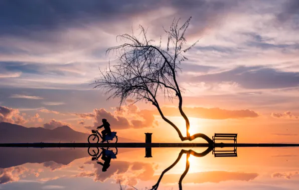 Закат, велосипед, отражение, дерево, женщина, силуэты