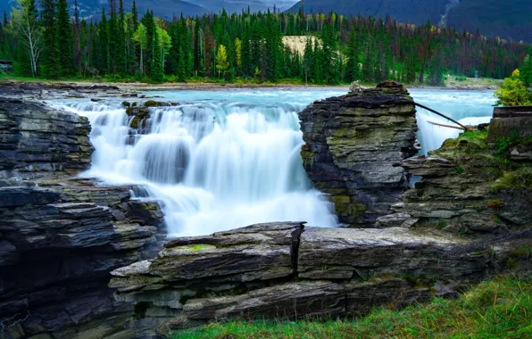 Лес, горы, река, водопад