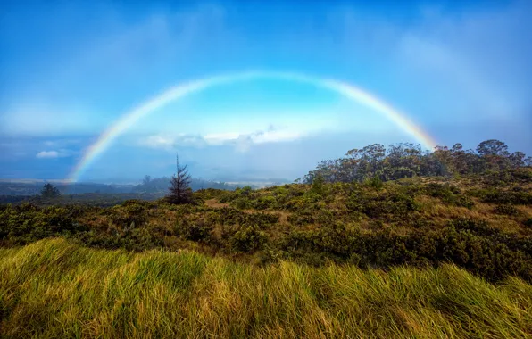 Небо, деревья, горы, радуга, Гавайи, rainbow, Maui, National park
