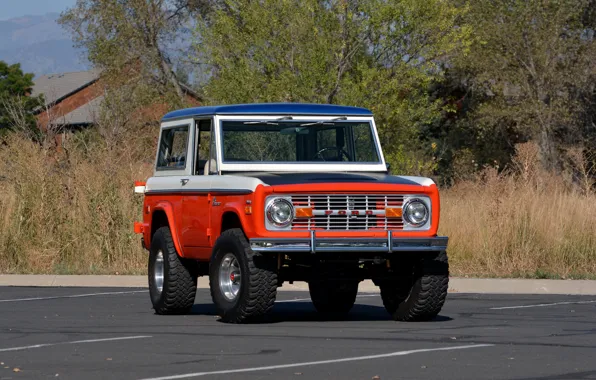 Ford, 1971, Wagon, Bronco, передом, Baja Edition, Stroppe