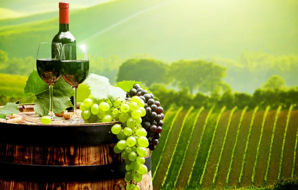 Картинка пейзаж, вино, поля, бутылка, бокалы, виноград, пробки, бочка