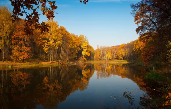 Осень, небо, отражения, деревья, природа, озеро, пруд, краски