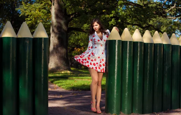 Картинка забор, платье, Audrey
