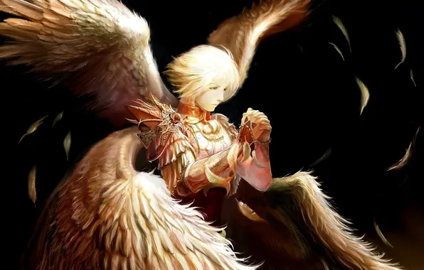Картинка темный фон, крылья, ангел, перья, арт, парень, tachikawa mushimaro