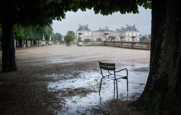 Деревья, лужа, стул, после дождя, Люксембург, терраса