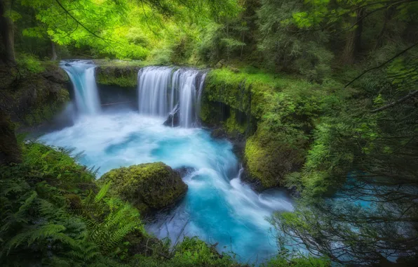 Картинка лес, река, мох, водопады, Columbia River Gorge, Washington State, Little White Salmon River, Spirit Falls