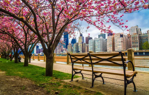 Картинка деревья, город, здания, дома, весна, Нью-Йорк, США, скамейки