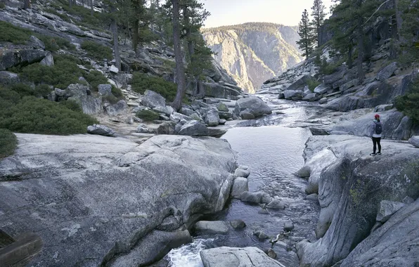 Forest, mountains, stones