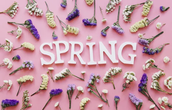 Цветы, фон, розовый, весна, pink, flowers, spring, purple
