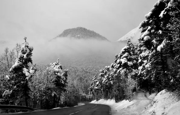 Картинка зима, дорога, лес, снег, пейзаж, горы, фото, фон