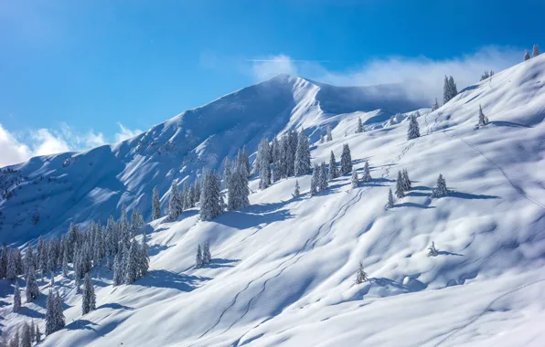 Картинка зима, снег, деревья, горы, Австрия, склон, Austria, Берхтесгаденские Альпы