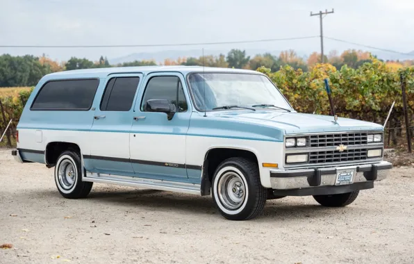 Картинка Chevrolet, Silverado, Suburban, '1991, R1500