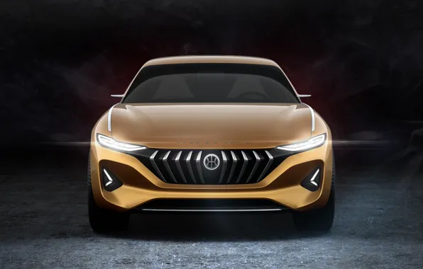 Вид спереди, Hybrid, 2018, Pininfarina, Kinetic, H500