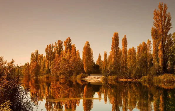 Картинка осень, лес, небо, вода, деревья, отражение, река, желтые