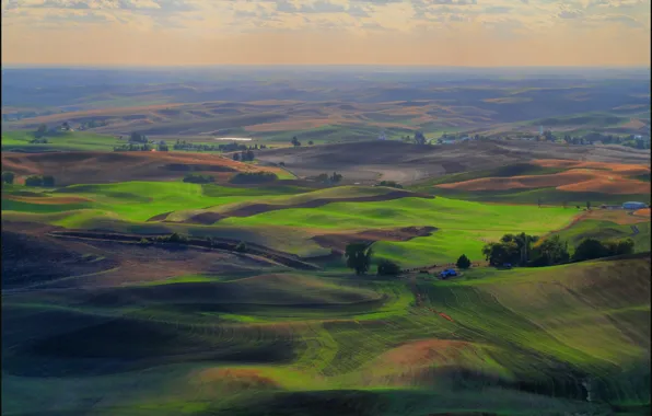 Трава, холмы, поля, луг, сельская местность, зелёная, пашня, Palouse