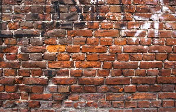 Wall, Red, bricks, pattern