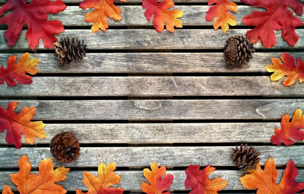 Картинка осень, листья, фон, дерево, colorful, клен, шишки, wood