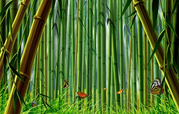 Картинка трава, бабочки, бамбук