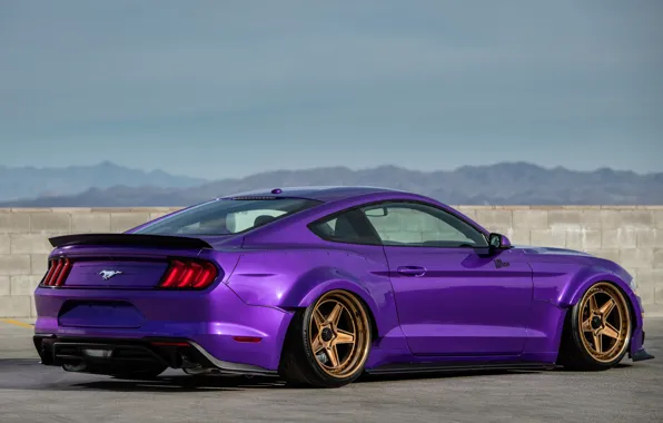 Mustang, Ford, 2018, EcoBoost, TJIN Edition, SEMA 2018