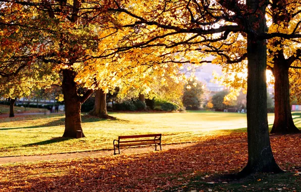 Картинка осень, трава, листья, деревья, скамейка, природа, парк, газон