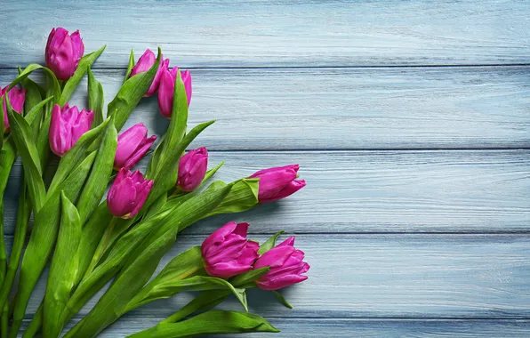 Картинка цветы, букет, тюльпаны, wood, flowers, tulips, spring, purple
