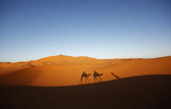 Песок, небо, пустыня, тень, верблюды