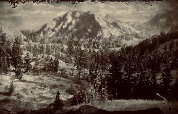 HDR, Wood, Landscape, Mountain, Game, UHD, Red Dead Redemption 2, Xbox One X