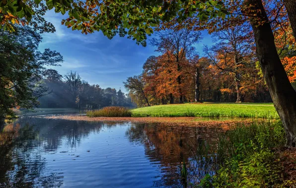 Картинка осень, трава, лучи, свет, деревья, пейзаж, природа, пруд