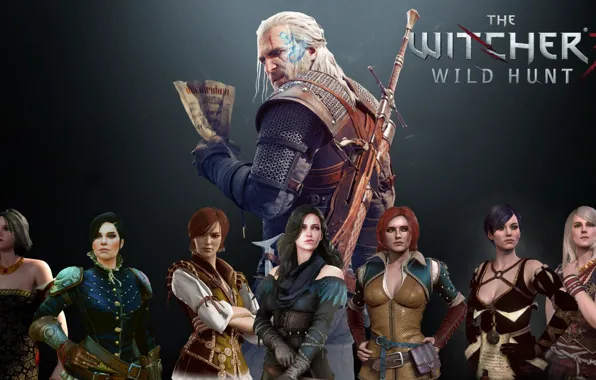 плакат, постер The Witcher (Ведьмак), Геральт, мясник из Блавикена. Холст, размер 21х30см