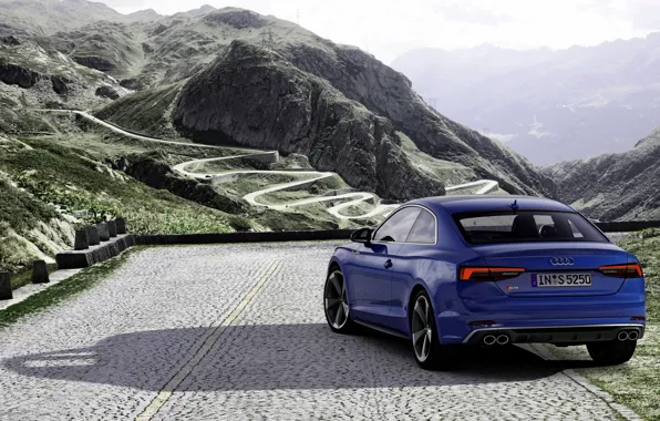 Синий, Audi, купе, сзади, Audi A5, Coupe, Audi S5, 2019
